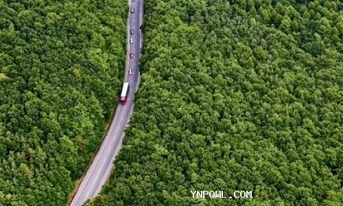 1-8月份物流運(yùn)行有所回暖 微觀活力有待增強(qiáng)