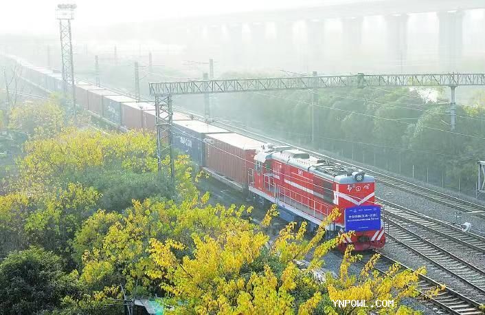 配齊物流緊跟中老鐵路，健康中國(guó)之路，共建美好生活。