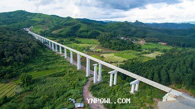 中老鐵路貨物運輸