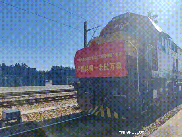 中老鐵路國(guó)際貨物列車(chē)“瀾湄快線