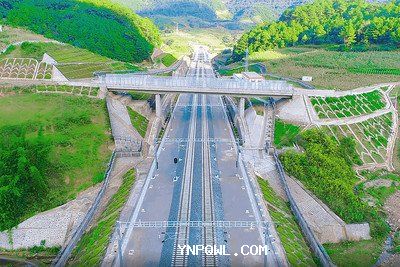 中老鐵路運輸在農(nóng)產(chǎn)品出口方面有哪些挑戰(zhàn)？